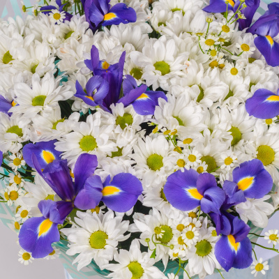 Букет с хризантемой, ирисом и ромашками N 52674 Букет с хризантемой, ирисом и ромашками N 52674