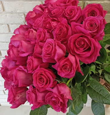 Роза розовая Эквадор 60 см N 2446