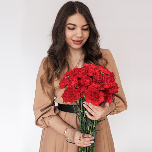 Гвоздика красная ПОШТУЧНО арт. 24