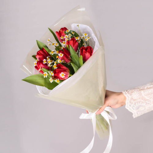 Букет из 7 красных тюльпанов с ромашками 59873