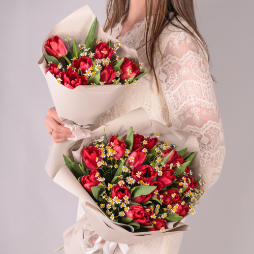 Букет из 7 красных тюльпанов с ромашками 59873